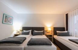 images/zimmer3.jpg